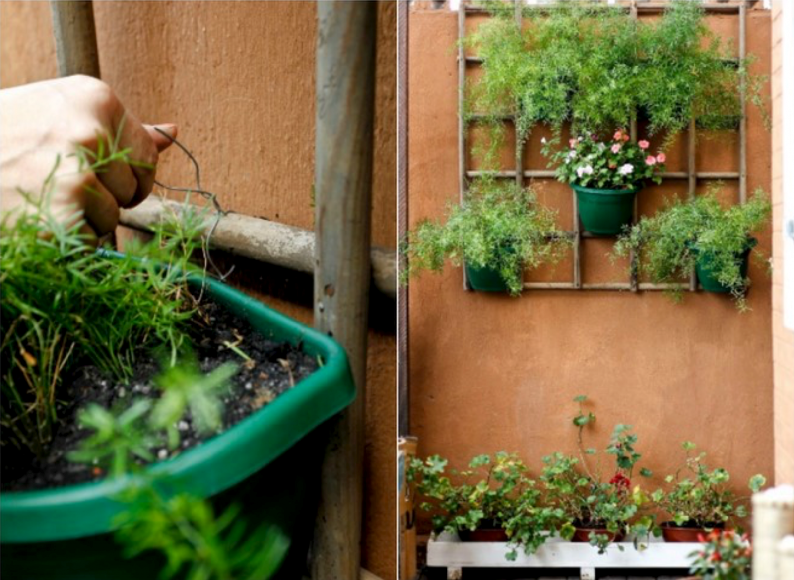 Vertical garden ideas to help upgrade your property on sale in Malta or Gozo 