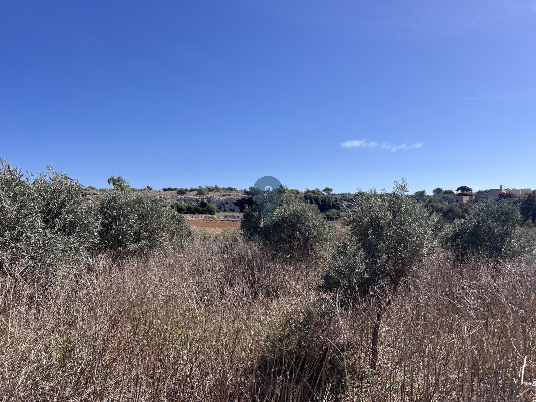 Farmhouses in Dingli - REF 83988