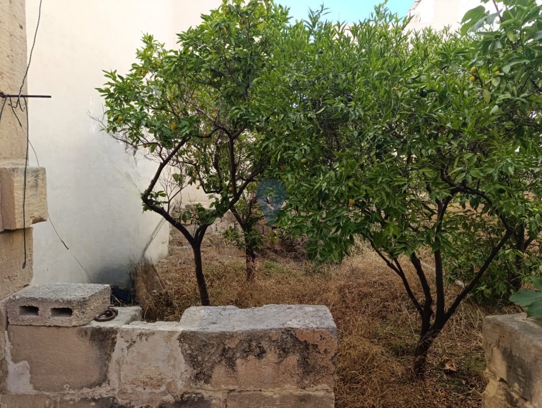 Townhouses in Qormi - REF 83993
