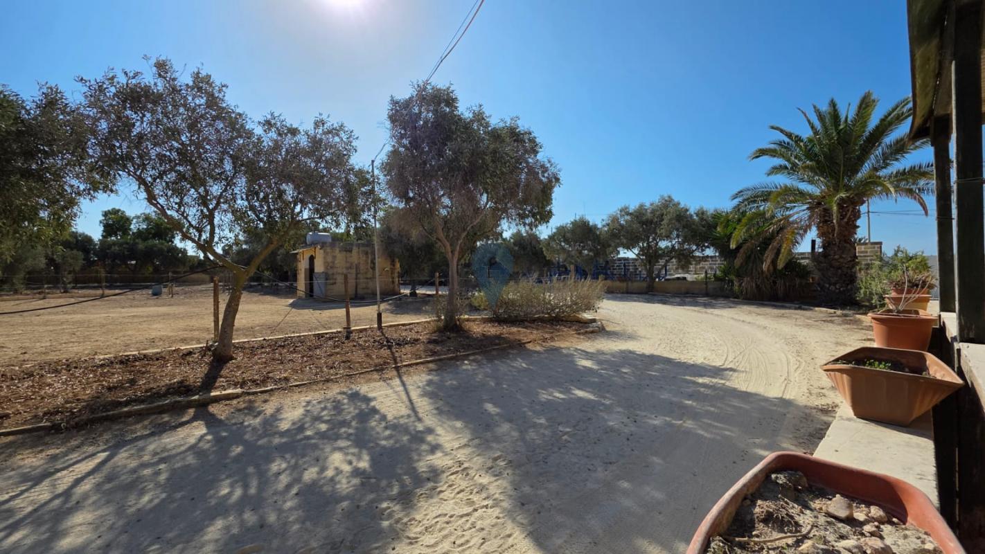 Farm in Kalkara - REF 84258