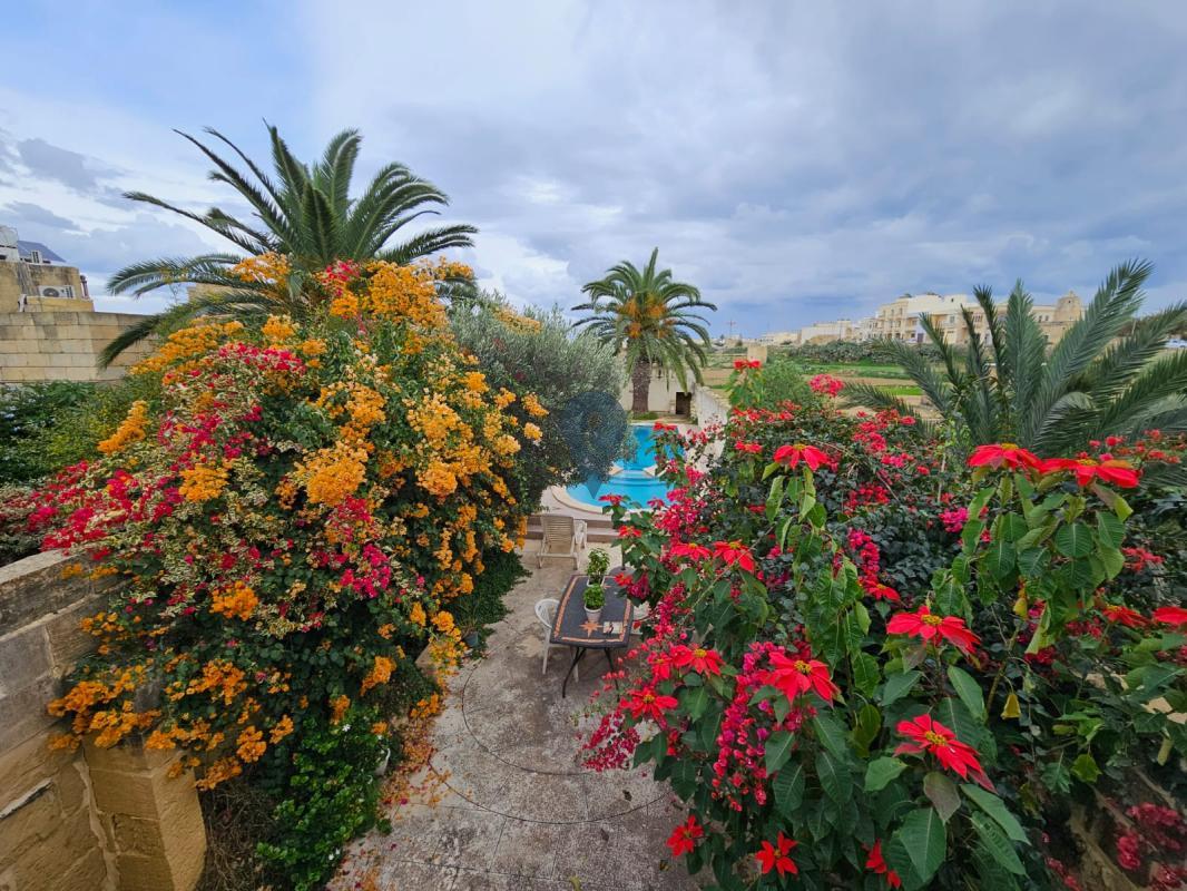 Farmhouses in Gozo - Santa Lucija - REF 85642