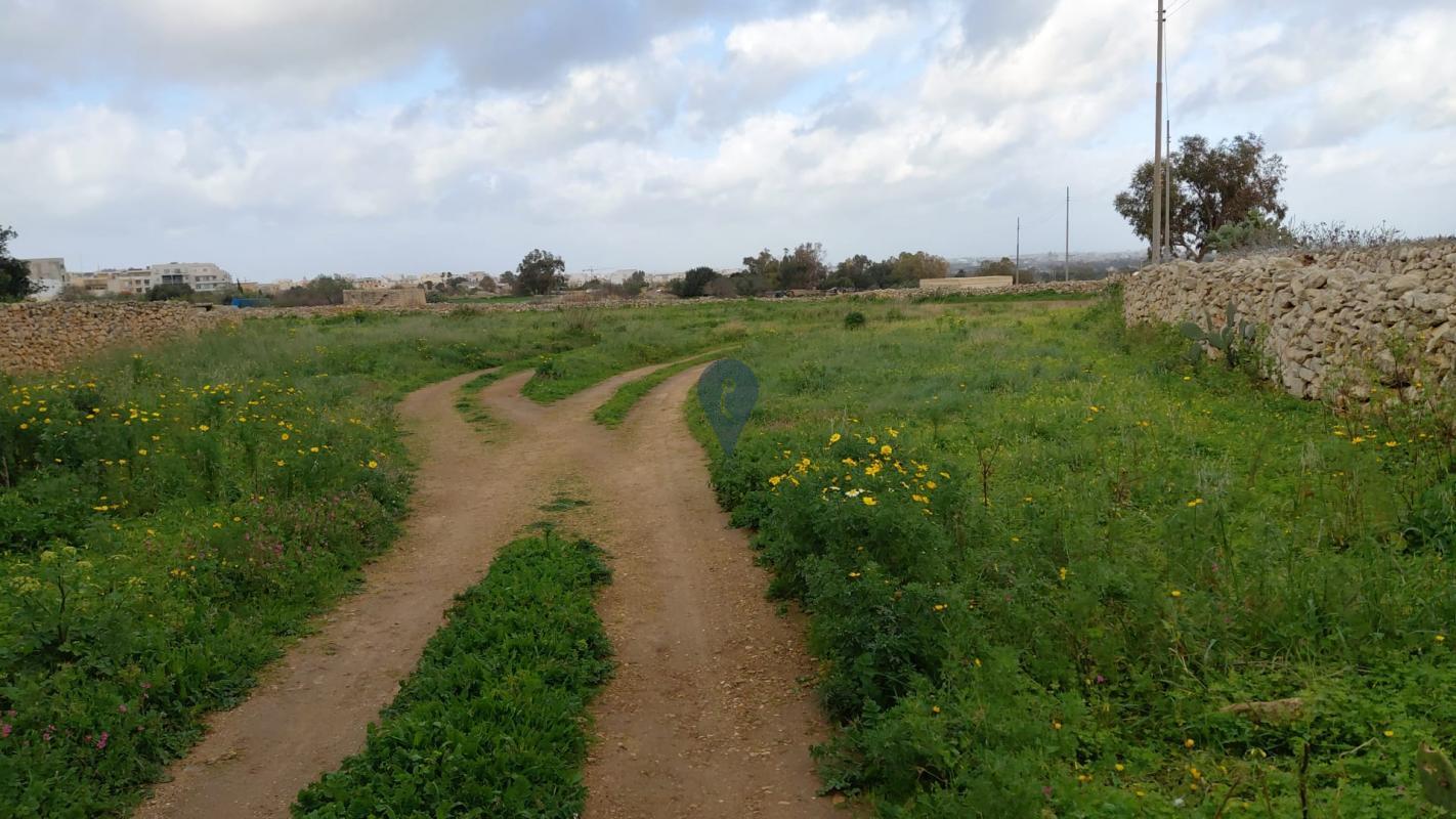 Agricultural Land in Bubaqra - REF 87355