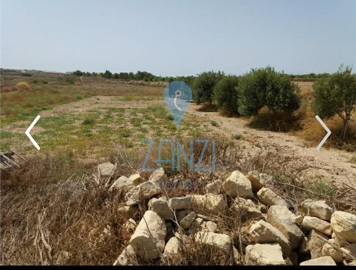 Land in Siggiewi - REF 53881