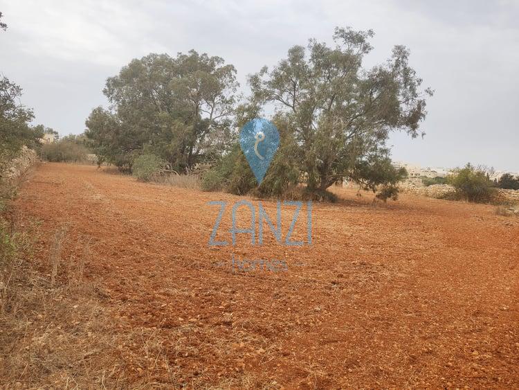 Land / Site / Plot in Safi - REF 55002