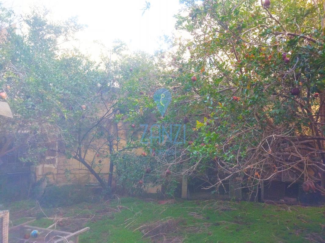 Terraced Houses in Zejtun - REF 55809