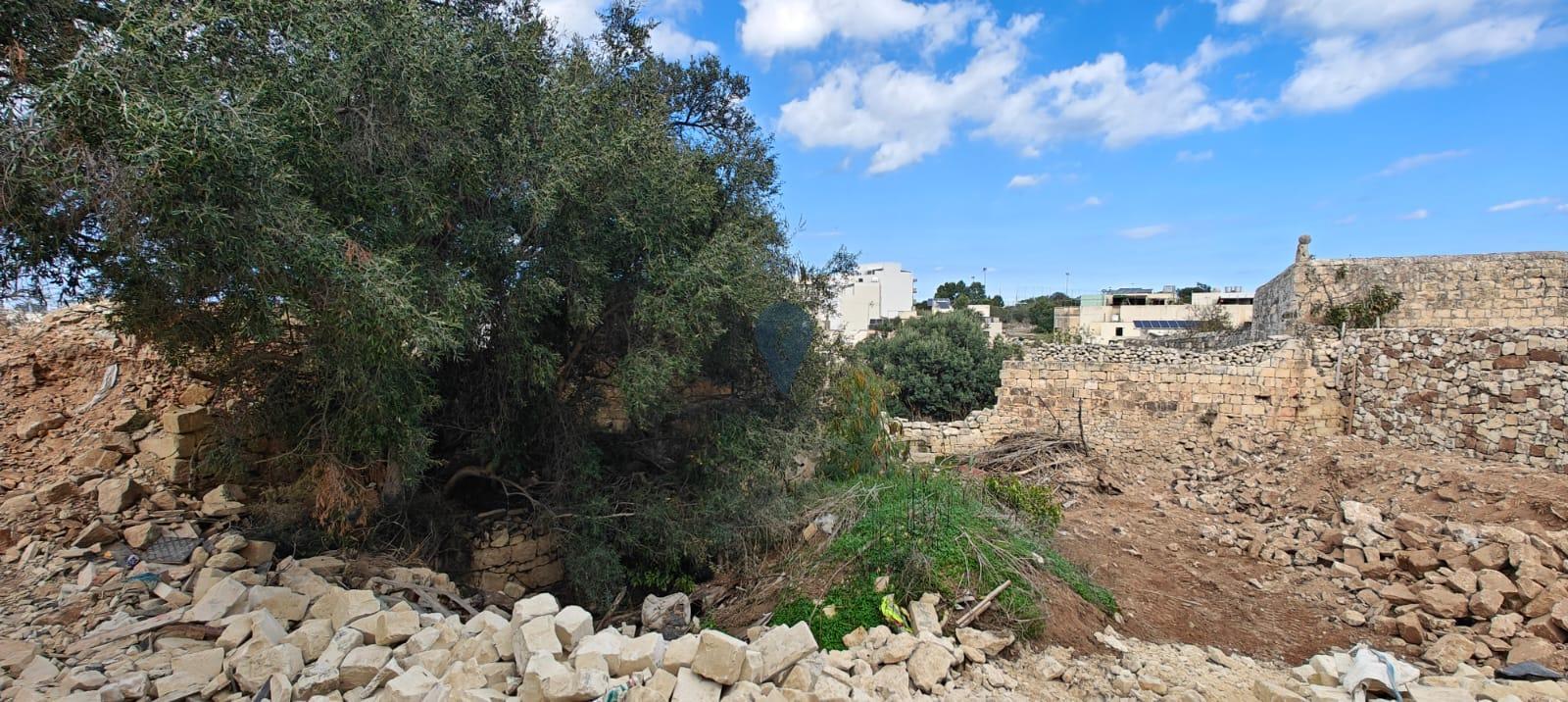 Property in Kalkara - Image 7