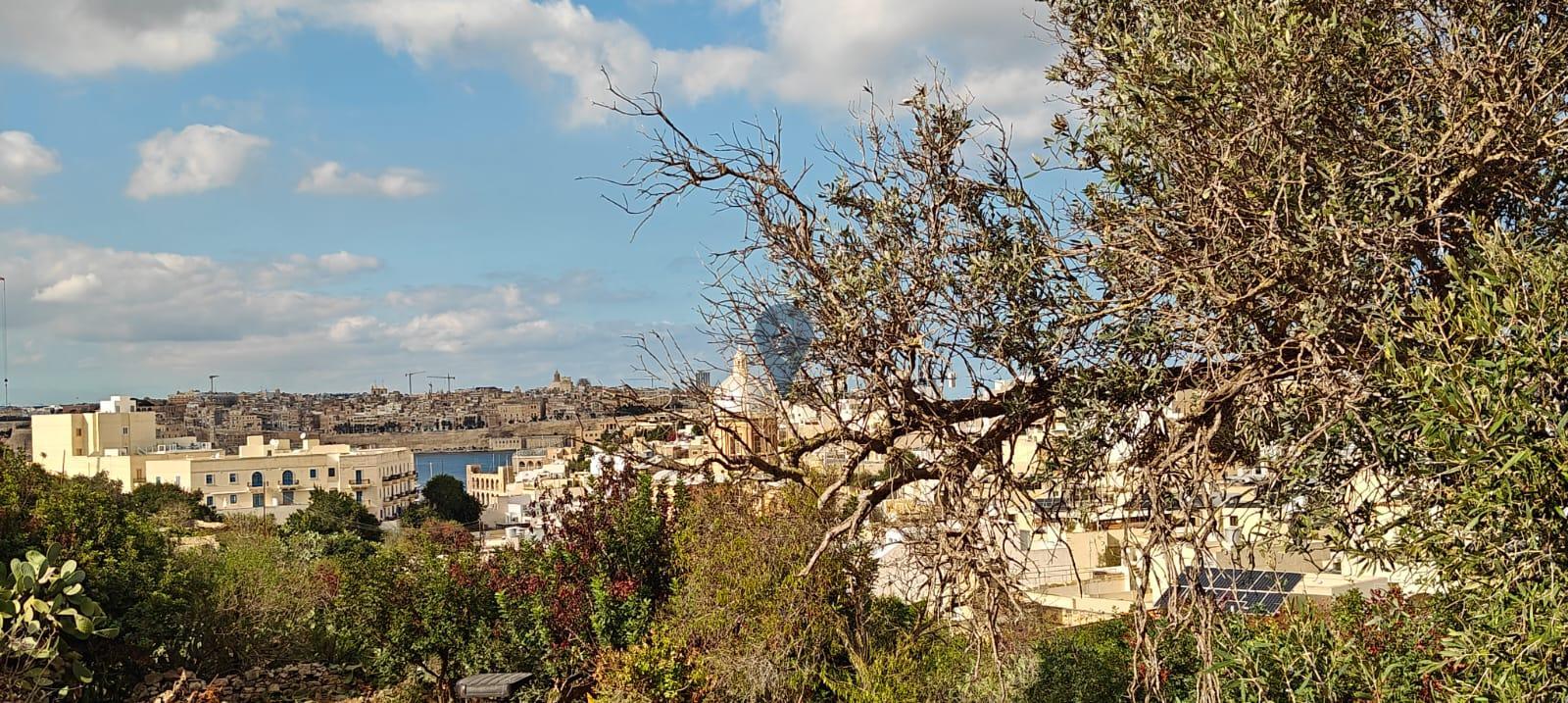 Farmhouses in Kalkara - REF 66922