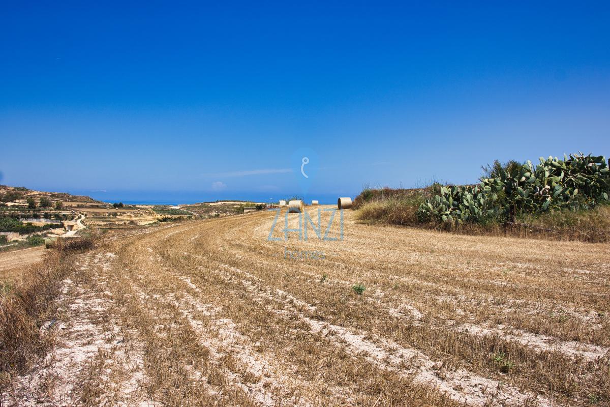 Field in Gozo - Ghasri - REF 68427