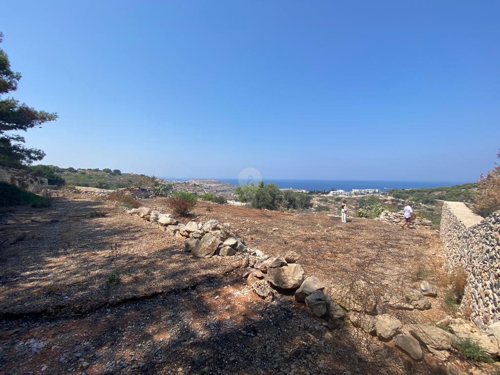 Field in Gharghur - REF 70409