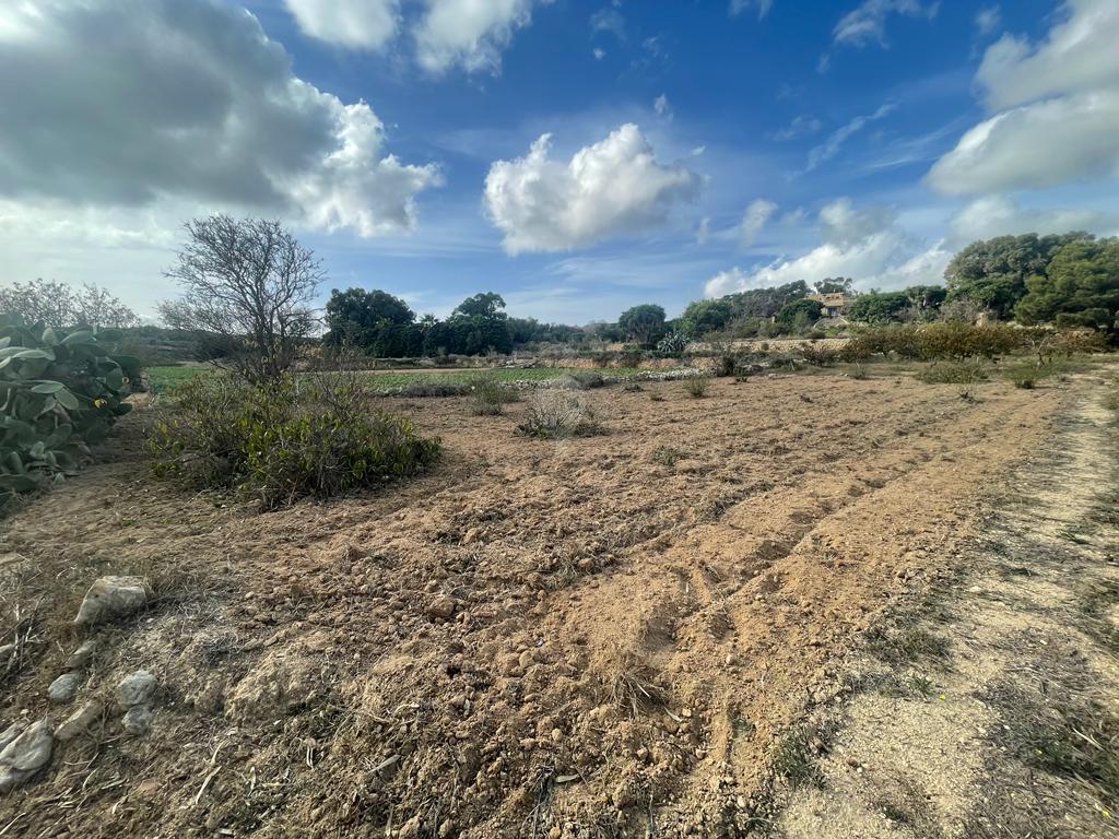 Field in Rabat - REF 71632