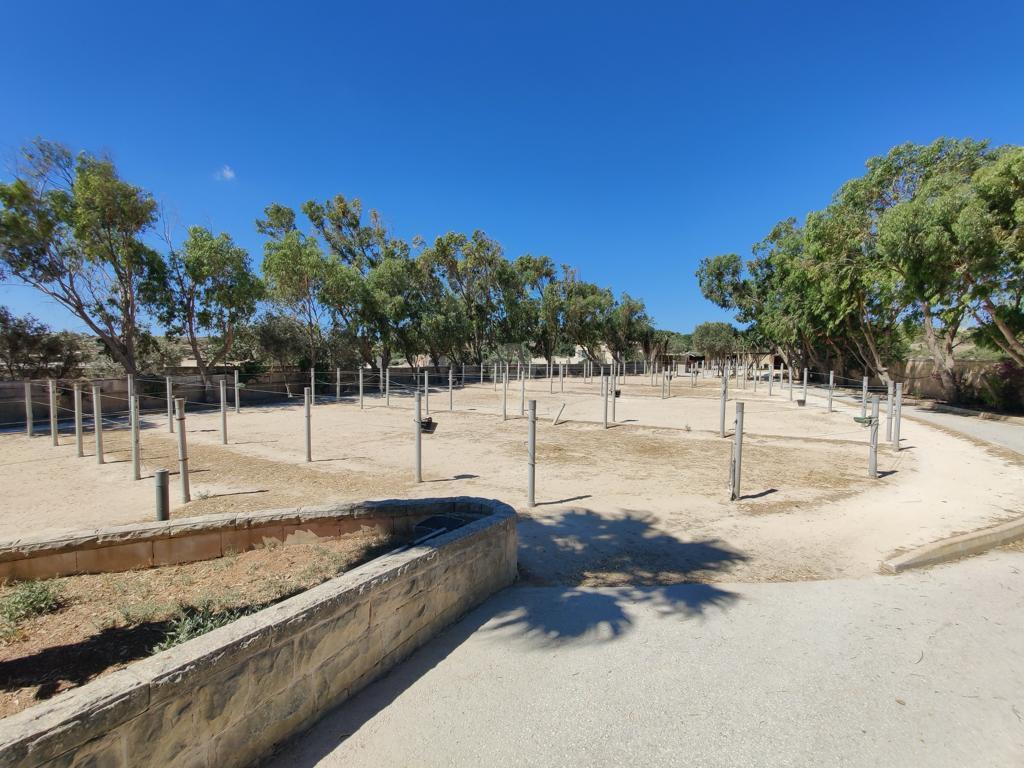 Property in Dingli - Image 12