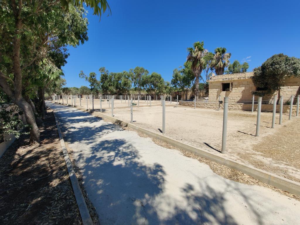 Property in Dingli - Image 14