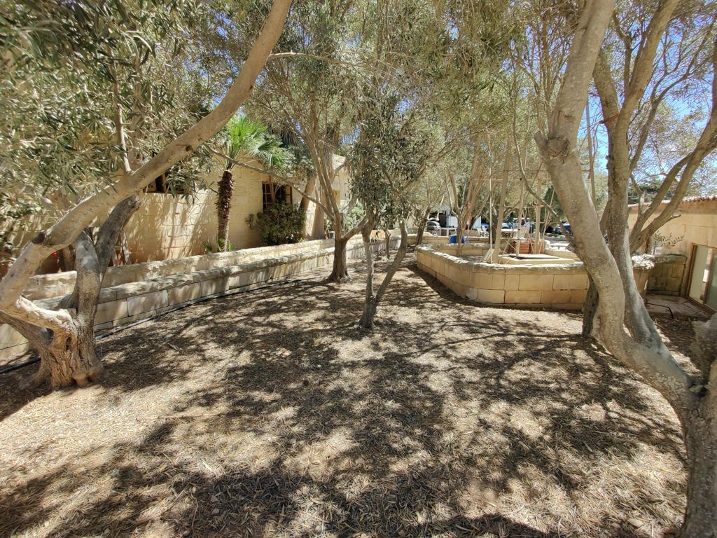 Property in Dingli - Image 9