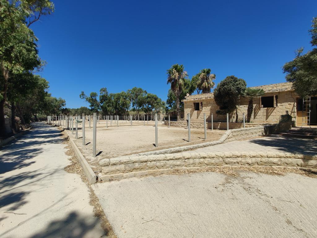 Property in Dingli - Image 17
