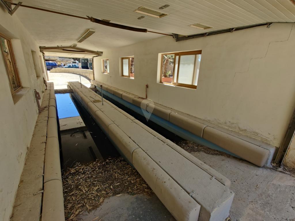 Property in Dingli - Image 7