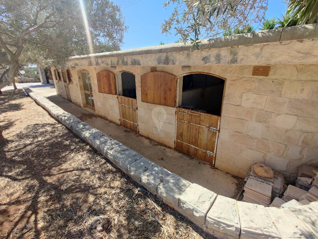 Property in Dingli - Image 8