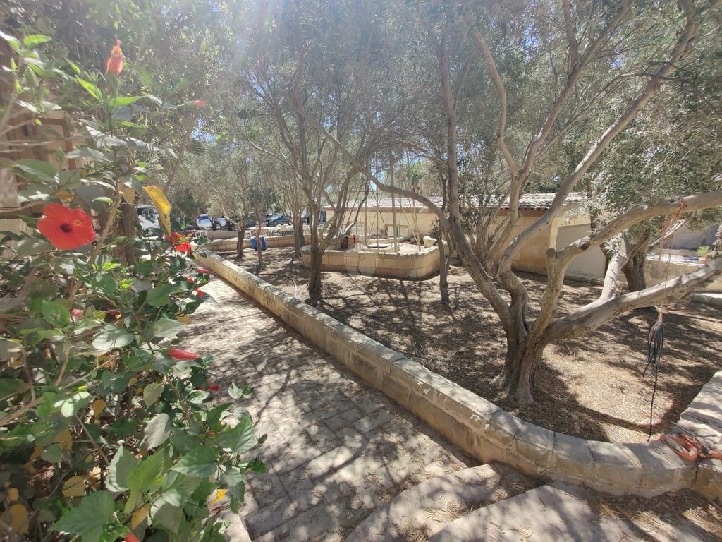 Property in Dingli - Image 10