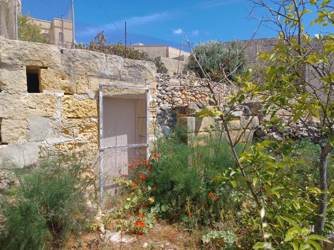 Townhouses in Gozo - Qala - REF 74295