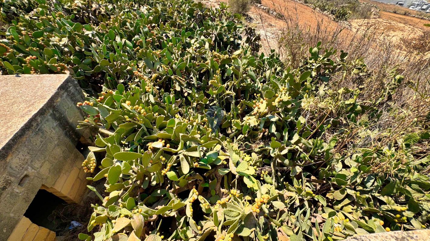 Farmhouses in Gozo - Xewkija - REF 76333