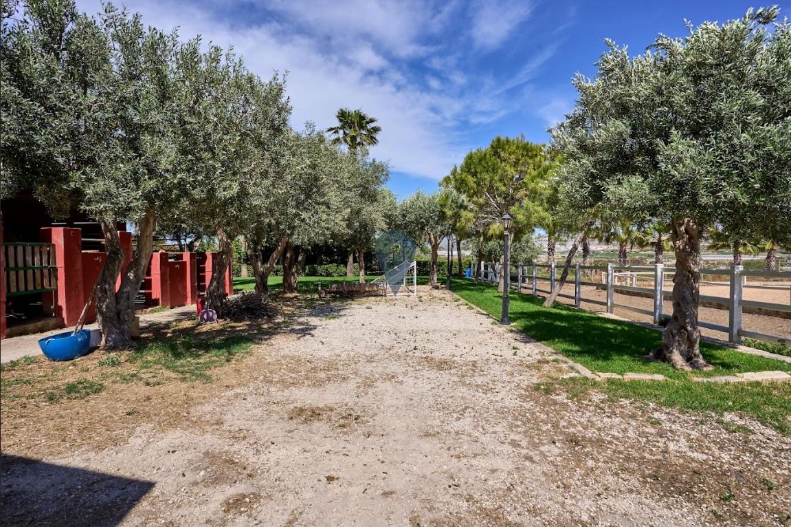 Property in Burmarrad - Image 5