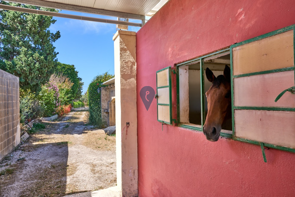 Property in Burmarrad - Image 2