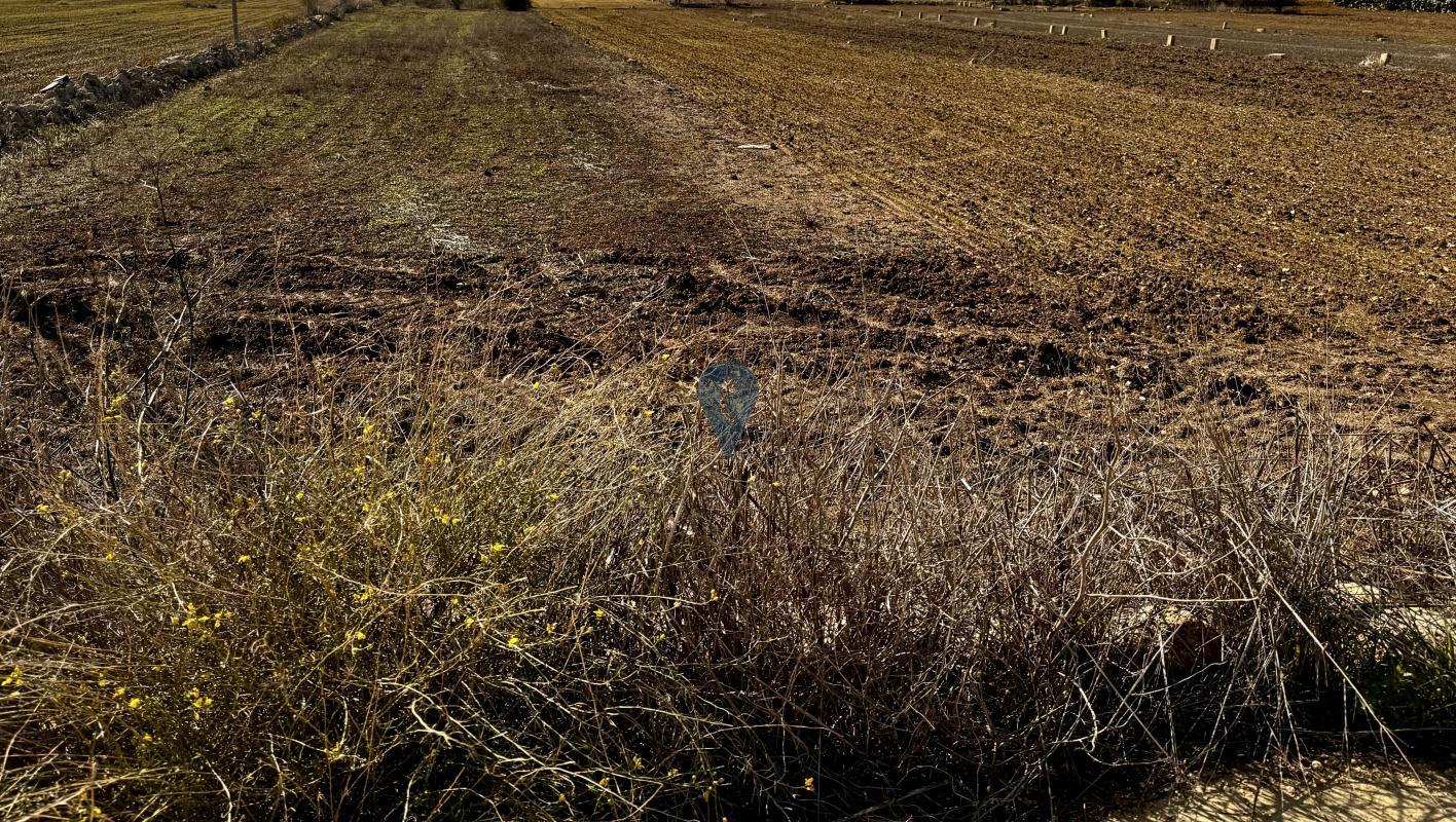 Field in Gozo - Gharb - REF 80418