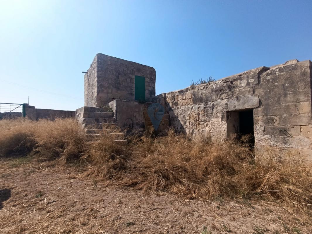 Field in Zebbug - REF 81687